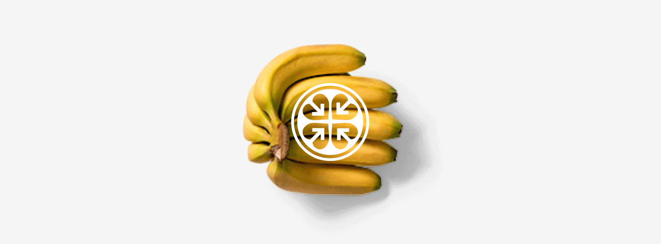 IC-Fruit-logo